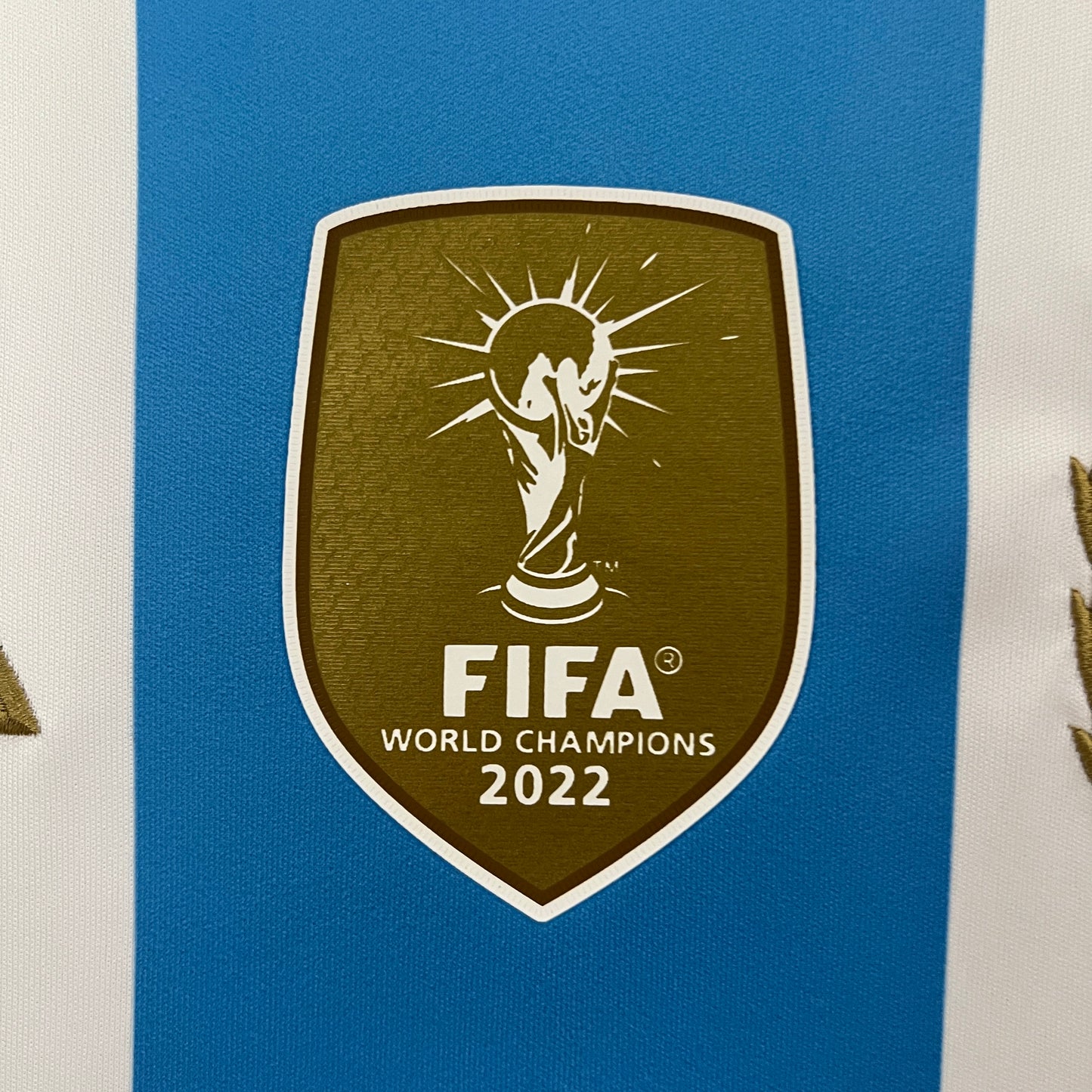 ARGENTINA HOME 2024 HOME FAN VERSION